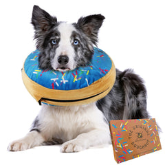 Dirty Little Paws dog donut collar blue closeup shows soft inflated protection around a wound site.