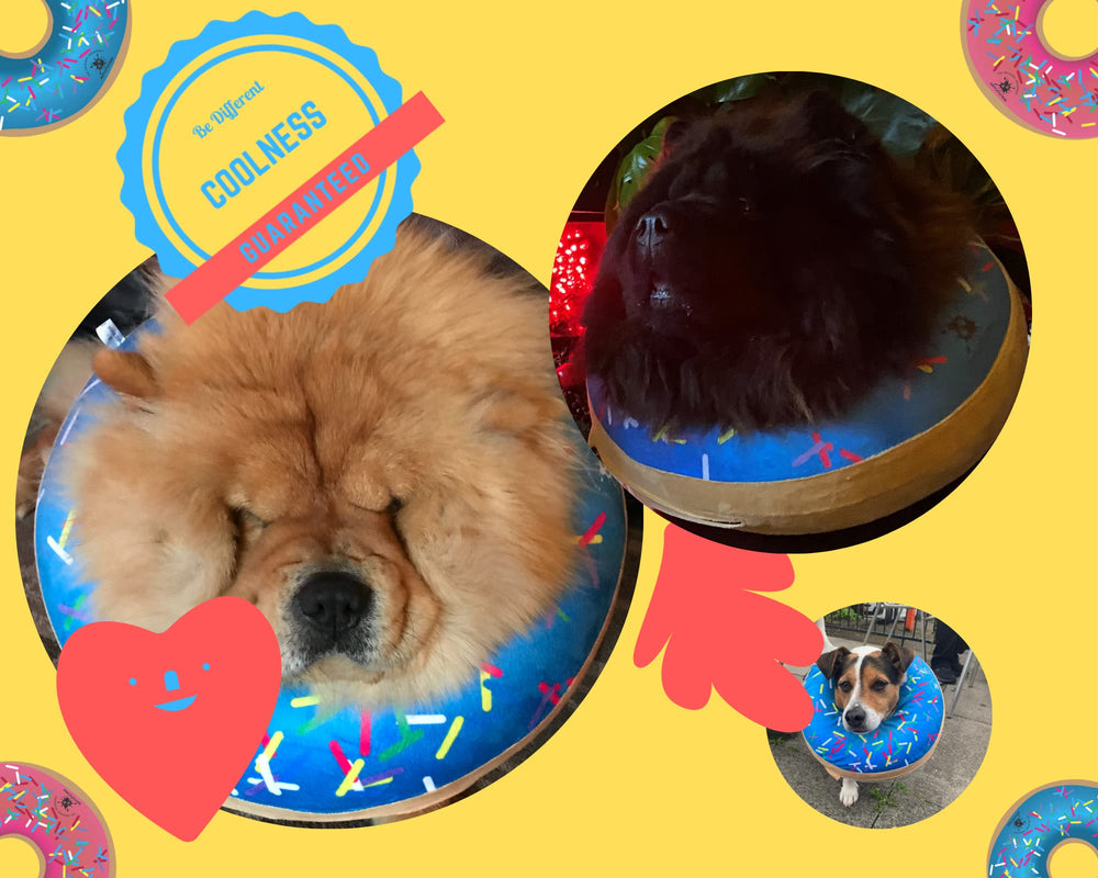 Dirty Little Paws dog donut collar blue inflated view emphasizes gentle restraint without sharp edges.