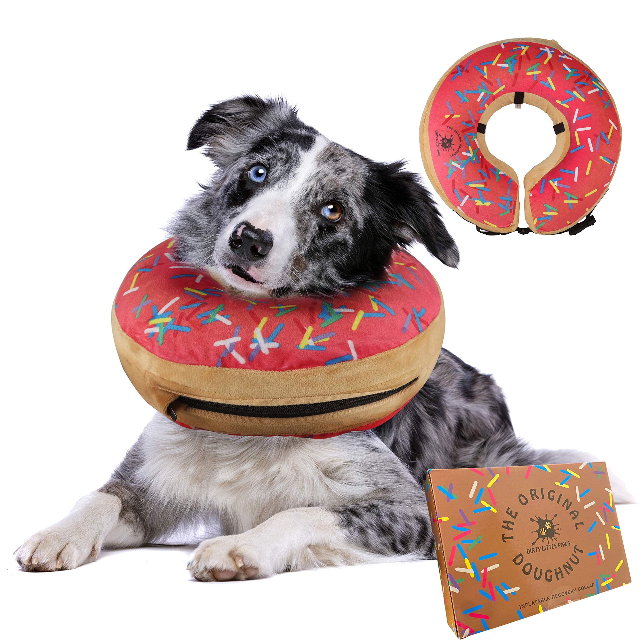 Dirty Little Paws dog donut collar pink on a dog for post-surgery protection and comfort.