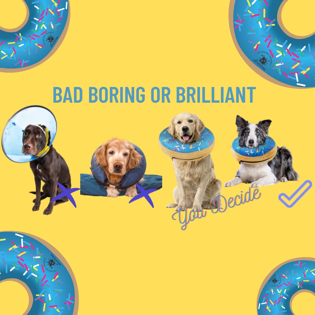 Dirty Little Paws donut collar blue compact packaging highlights travel-friendly recovery aid.