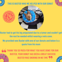 Dirty Little Paws donut collar blue side view demonstrates adjustable comfort and easy cleanup.