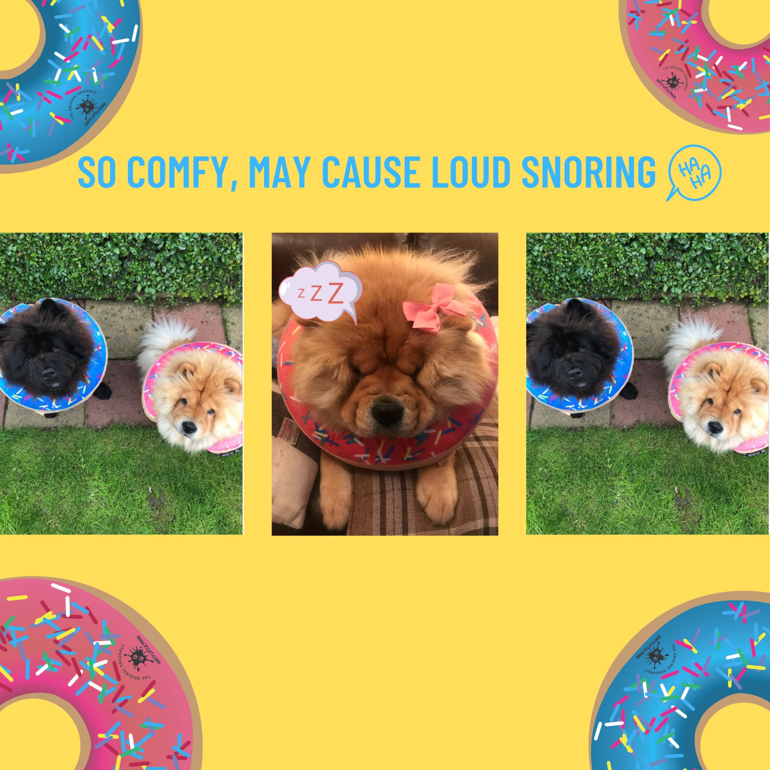 Dirty Little Paws donut collar blue wear-on-dog image highlights comfortable, non-constrictive fit.