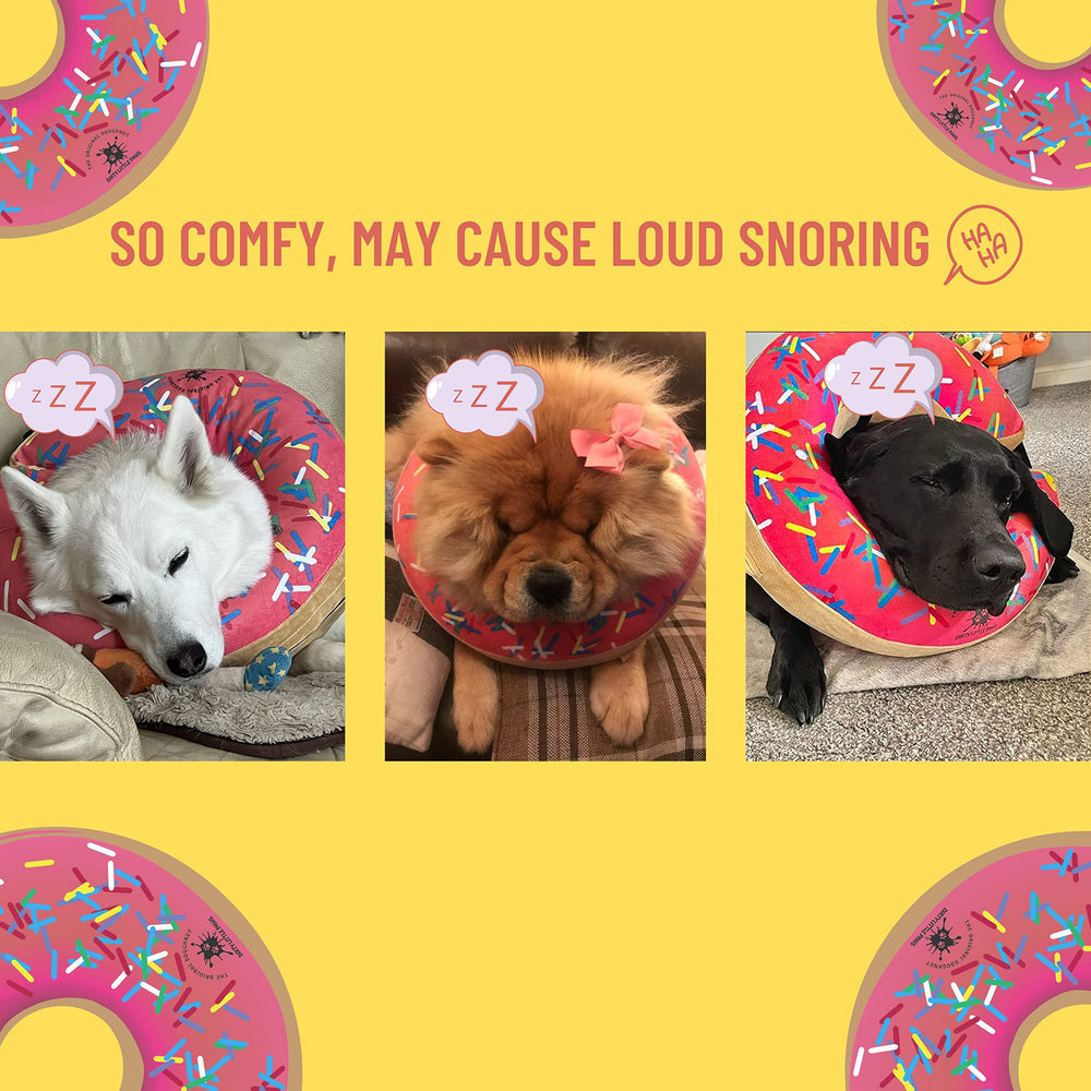 Dirty Little Paws inflatable cone-alternative side view shows unobstructed vision and comfort.
