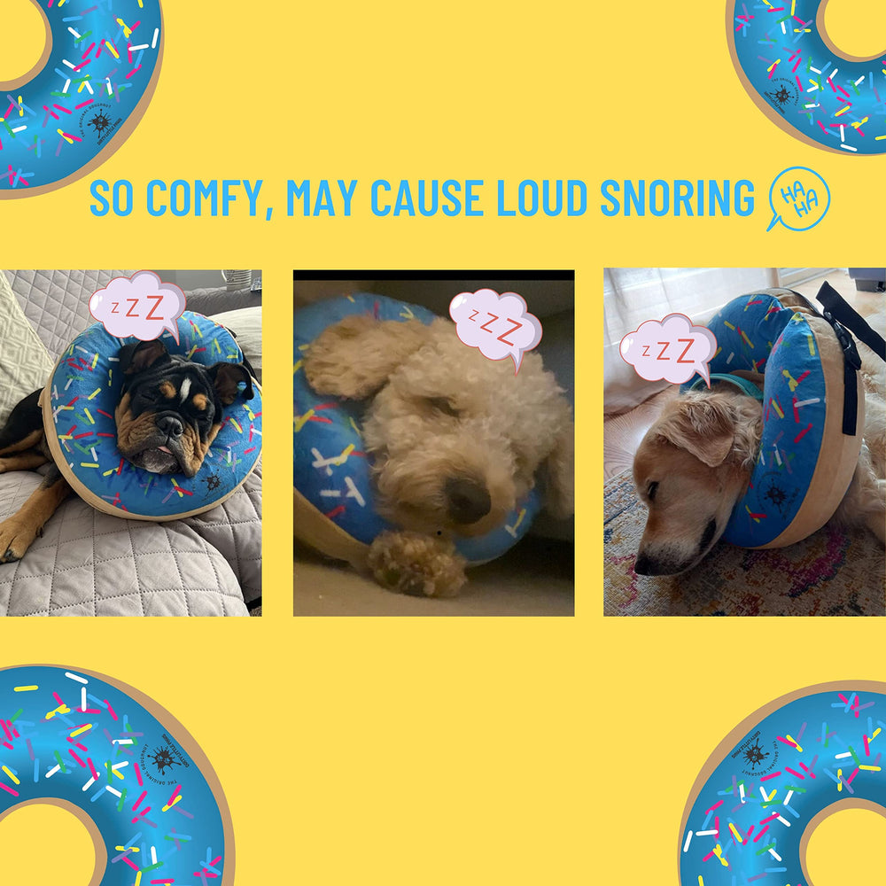 Dirty Little Paws inflatable cone alternative blue side view highlights unrestricted visibility.
