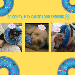 Dirty Little Paws inflatable cone alternative blue side view highlights unrestricted visibility.