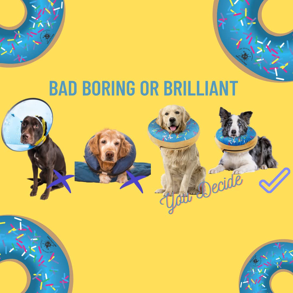 Dirty Little Paws three-size blue donut collar supports large dog breeds.