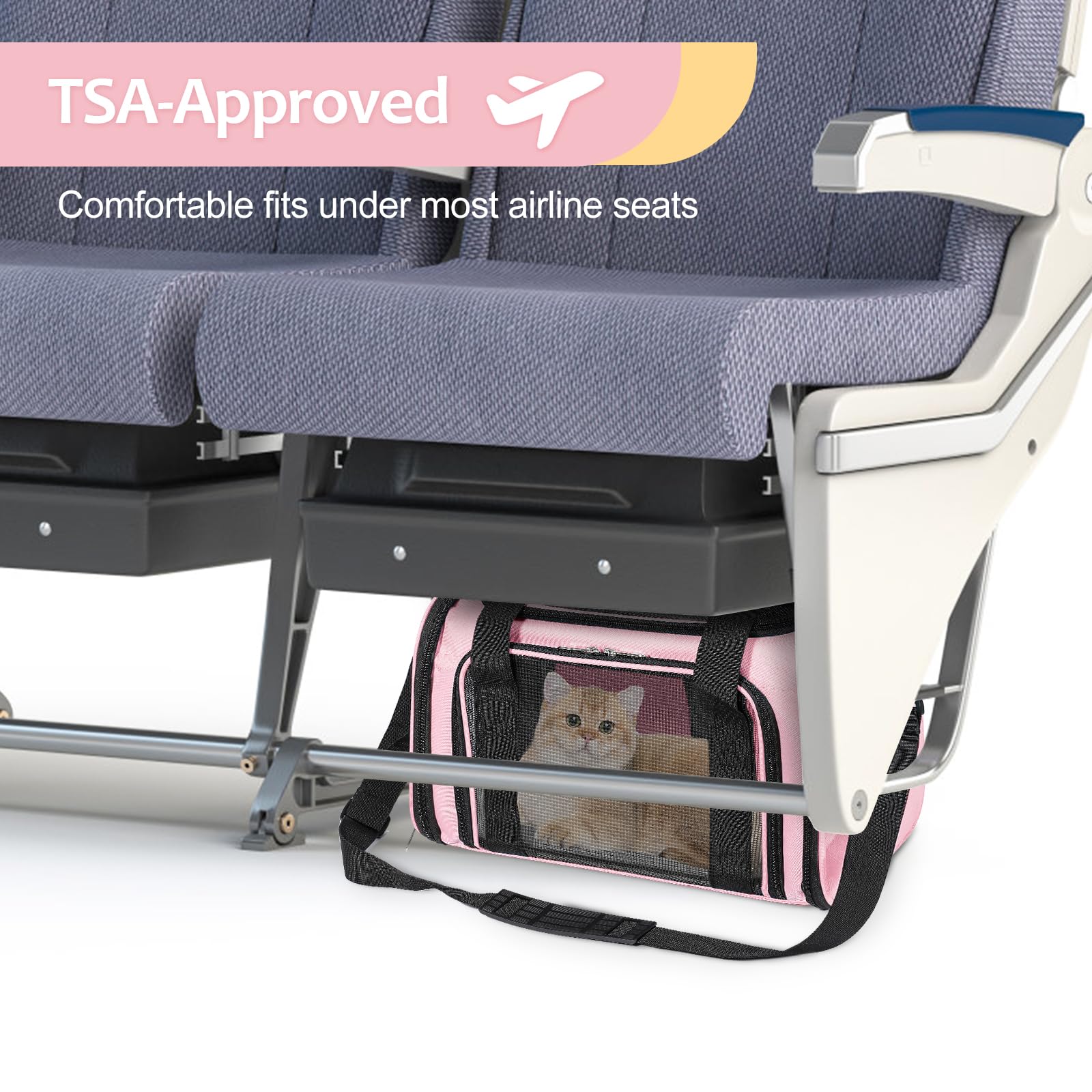 Discala airline-approved carrier supports pets up to 15 lbs comfortably.