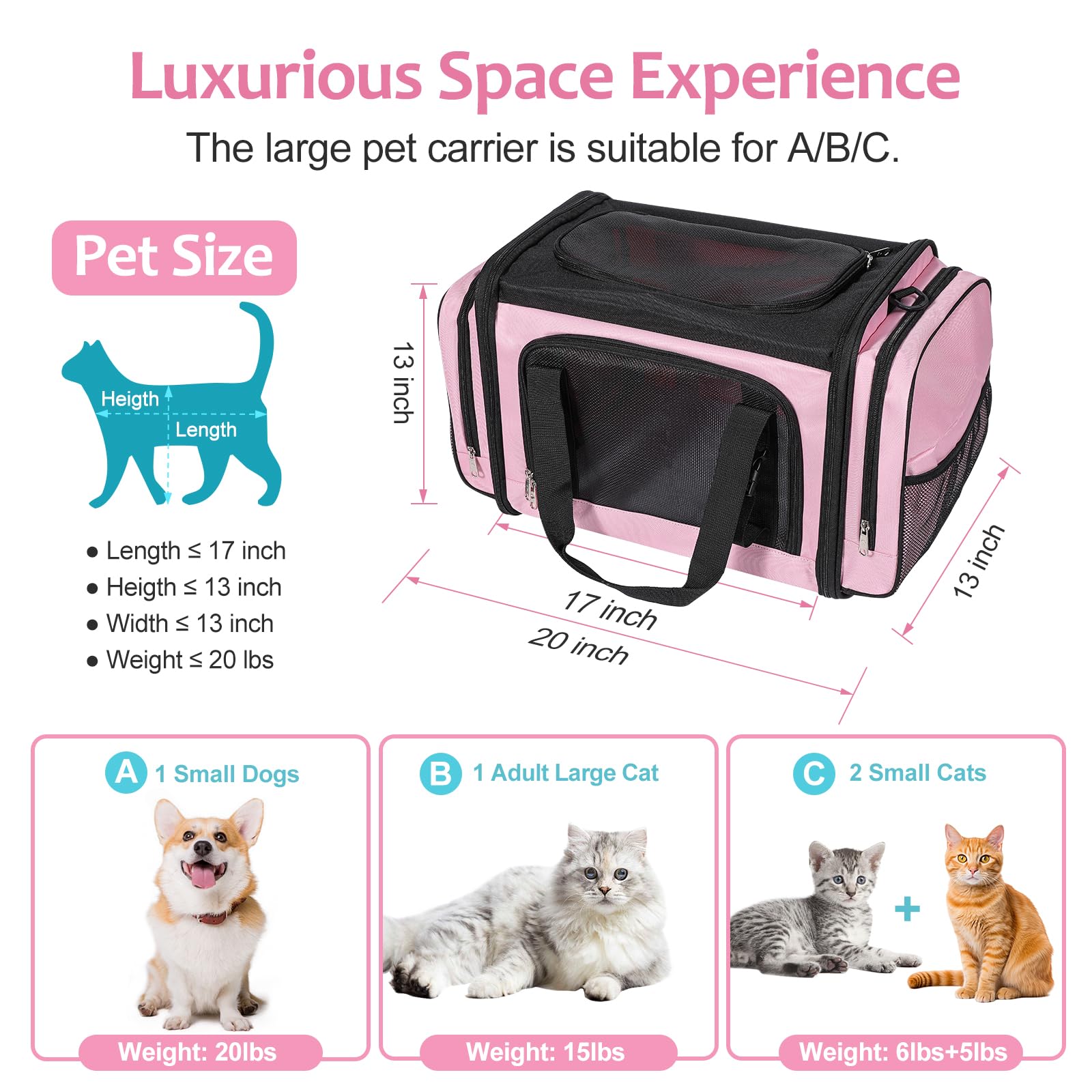 Discala cat carrier ventilation mesh highlights breathable design for comfort.