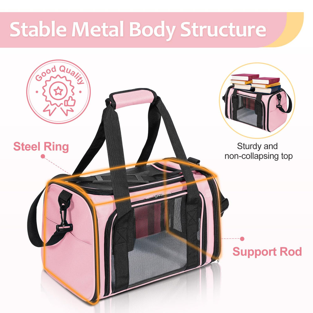 Discala collapsible design makes storage and setup quick.