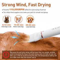 Discala dog dryer kit side view, lightweight design for comfortable home grooming