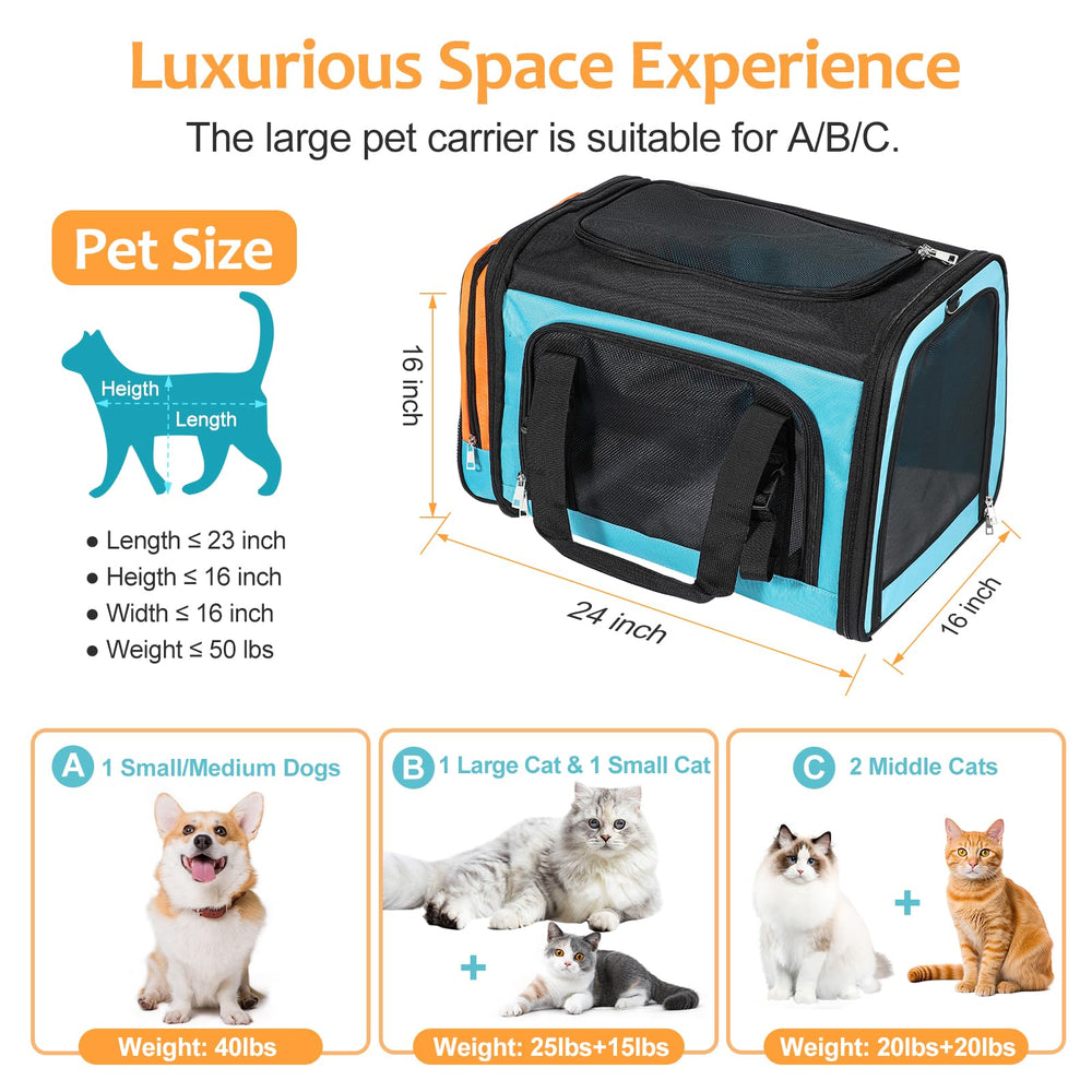 Discala extra large cat carrier interior setup showing two-cat comfort and access