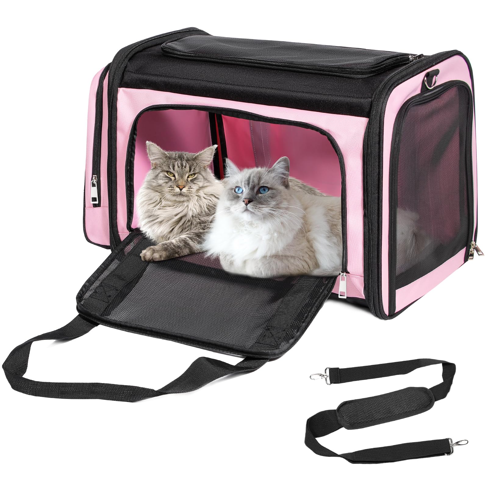 Discala extra-large cat carrier interior space for two pets on the go