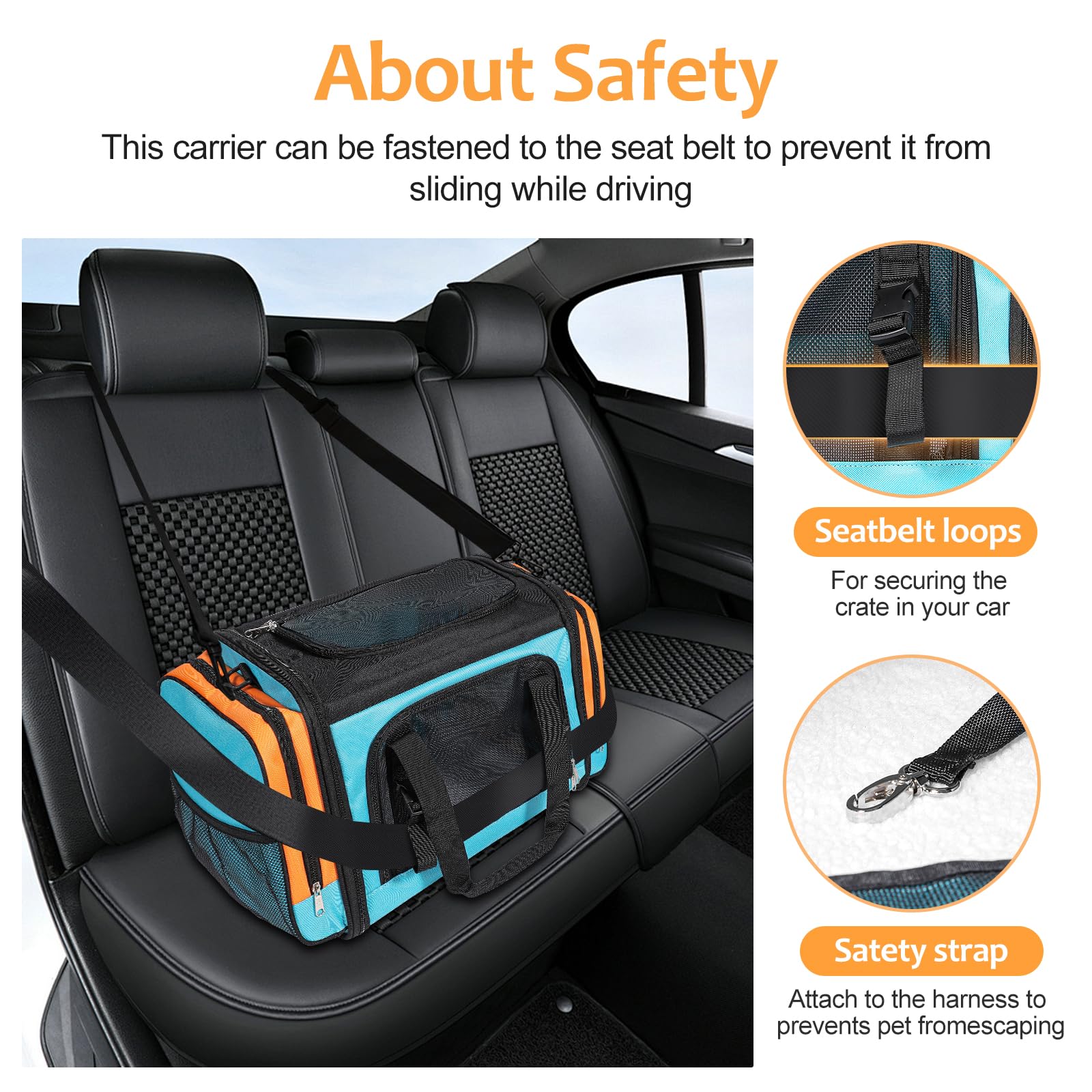 Discala Large Cat Carrier interior space highlighting capacity for two cats or a small dog