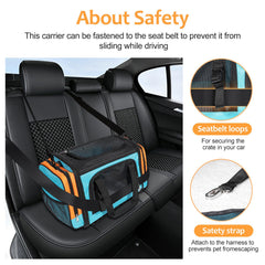 Discala Large Cat Carrier interior space highlighting capacity for two cats or a small dog