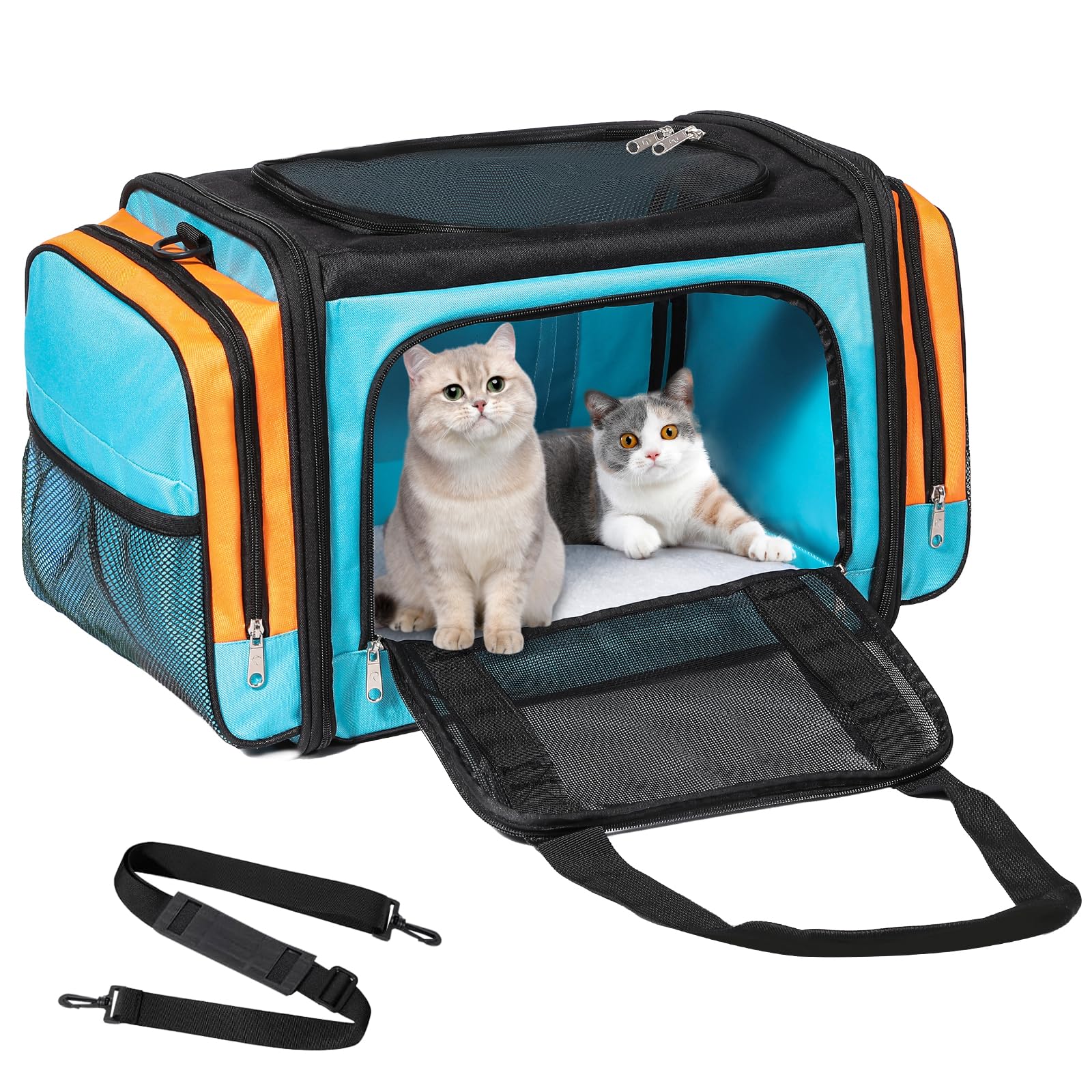 Discala Large Cat Carrier top view shows roomy interior for multiple pets