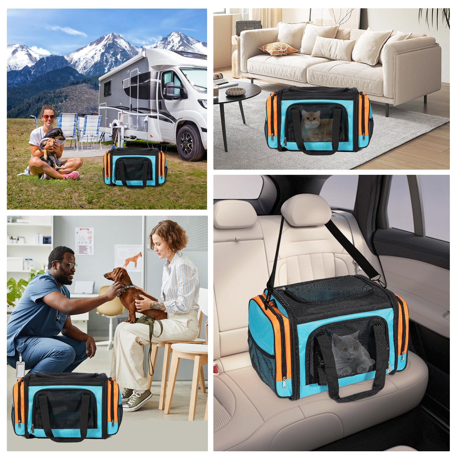 Discala Large Cat Carrier travel-friendly design suited for buses, trains, and cars