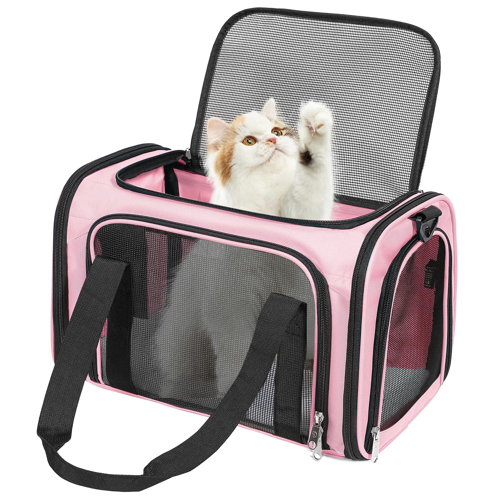Discala pink under-seat cat dog carrier fits many airlines.