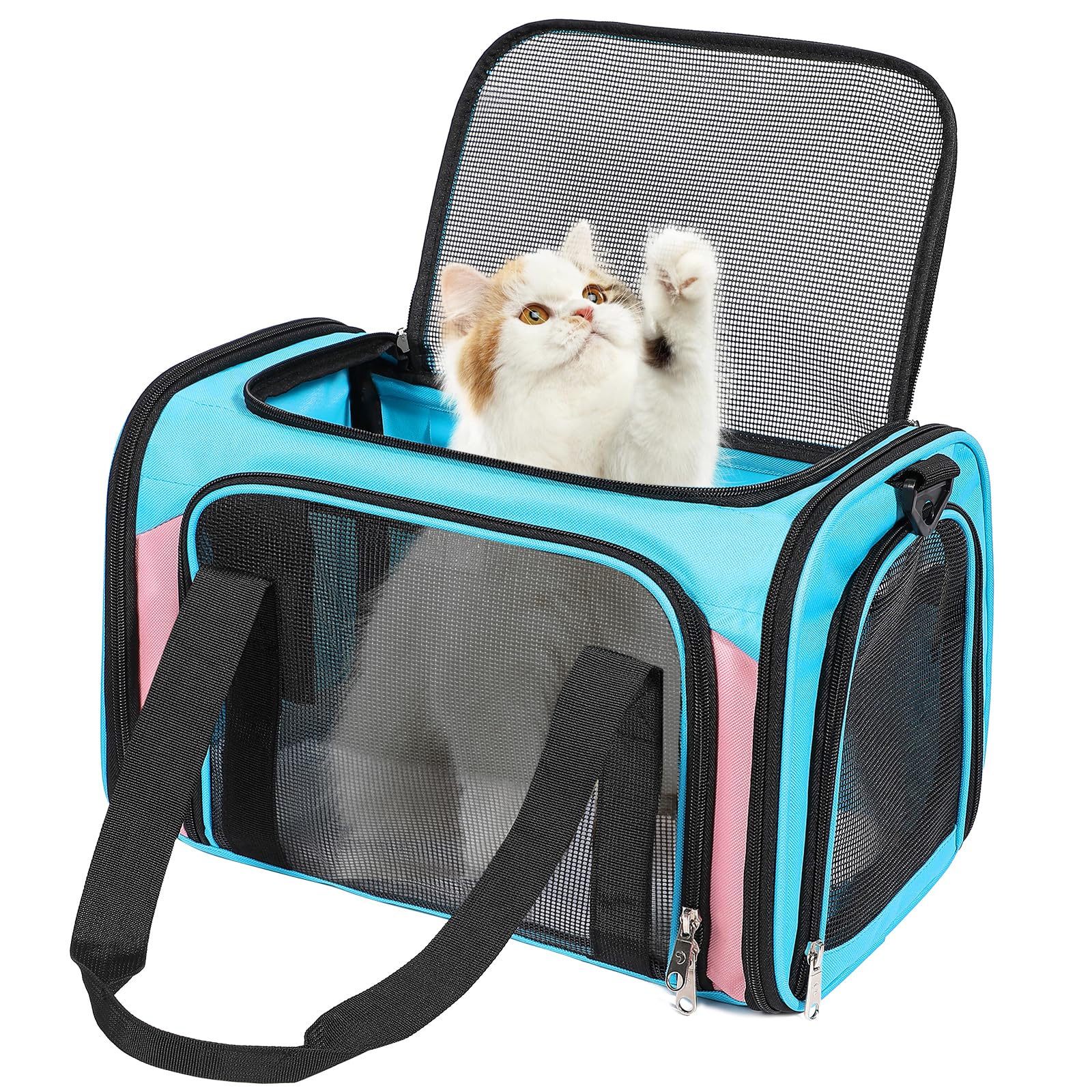 Discala transportín para mascotas 15 libras, azul y rosa: viaje cómodo bajo asiento.