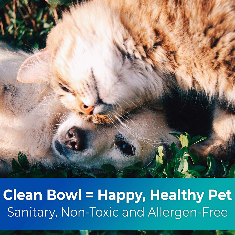 Disco Pets eco-materials wheatstalk bowls reduce waste and environmental impact.