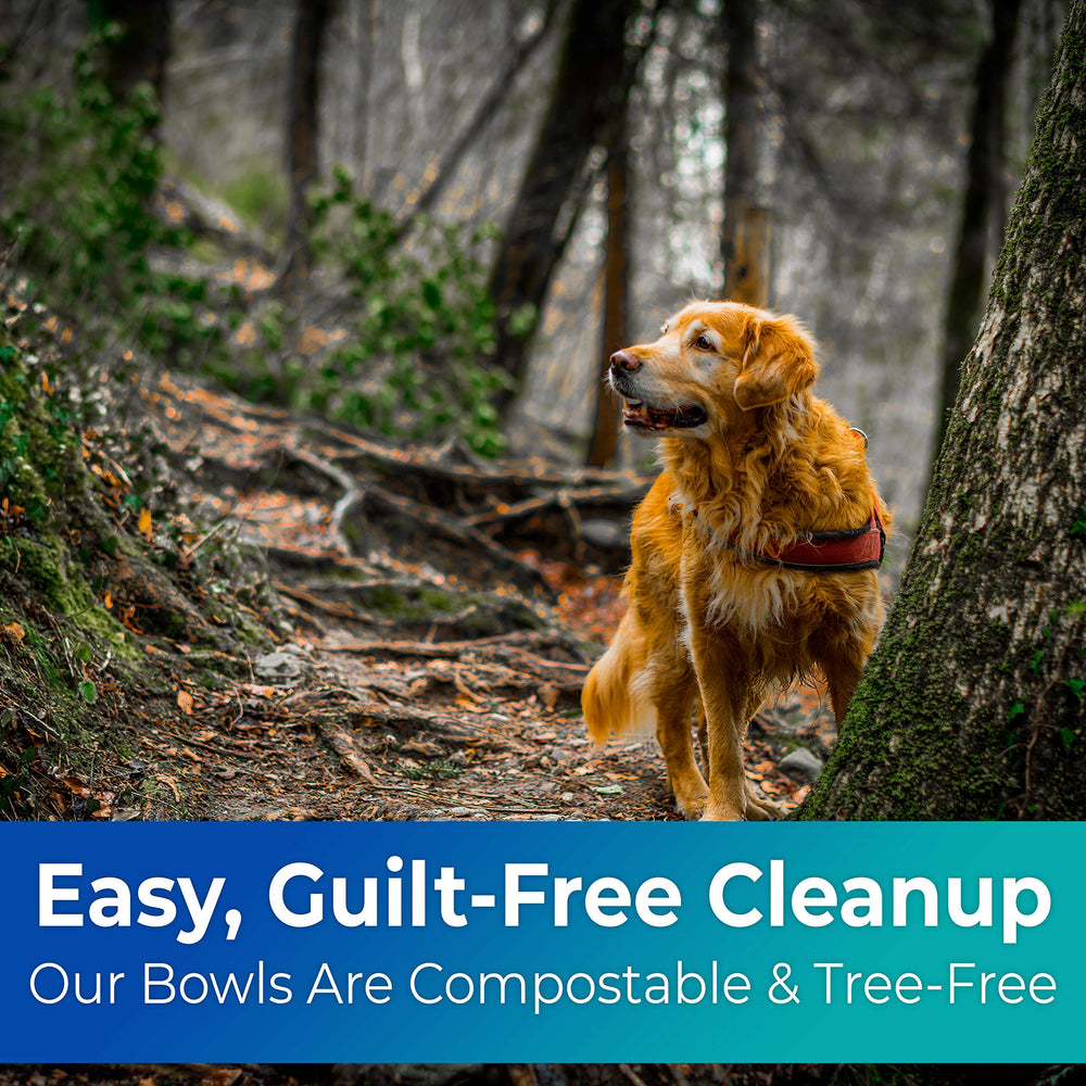 Disco Pets leakproof heavy-duty bowls withstand water and kibble without sogginess.