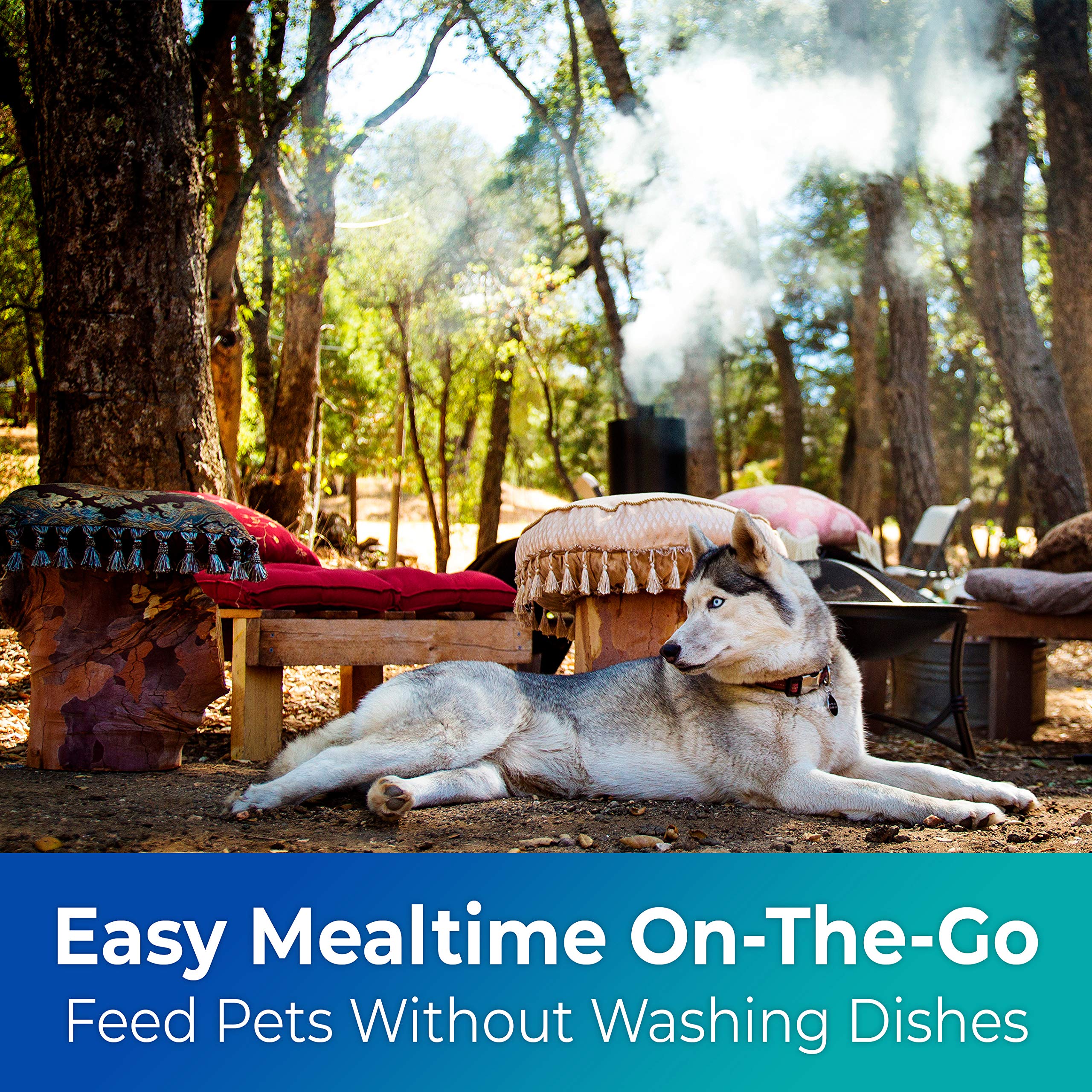 Disco Pets strong-rigid-frame-bowls withstand liquids without sagging.