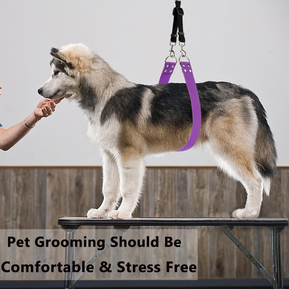 DISCPETSEC home or salon grooming belly-strap in use for controlled sessions
