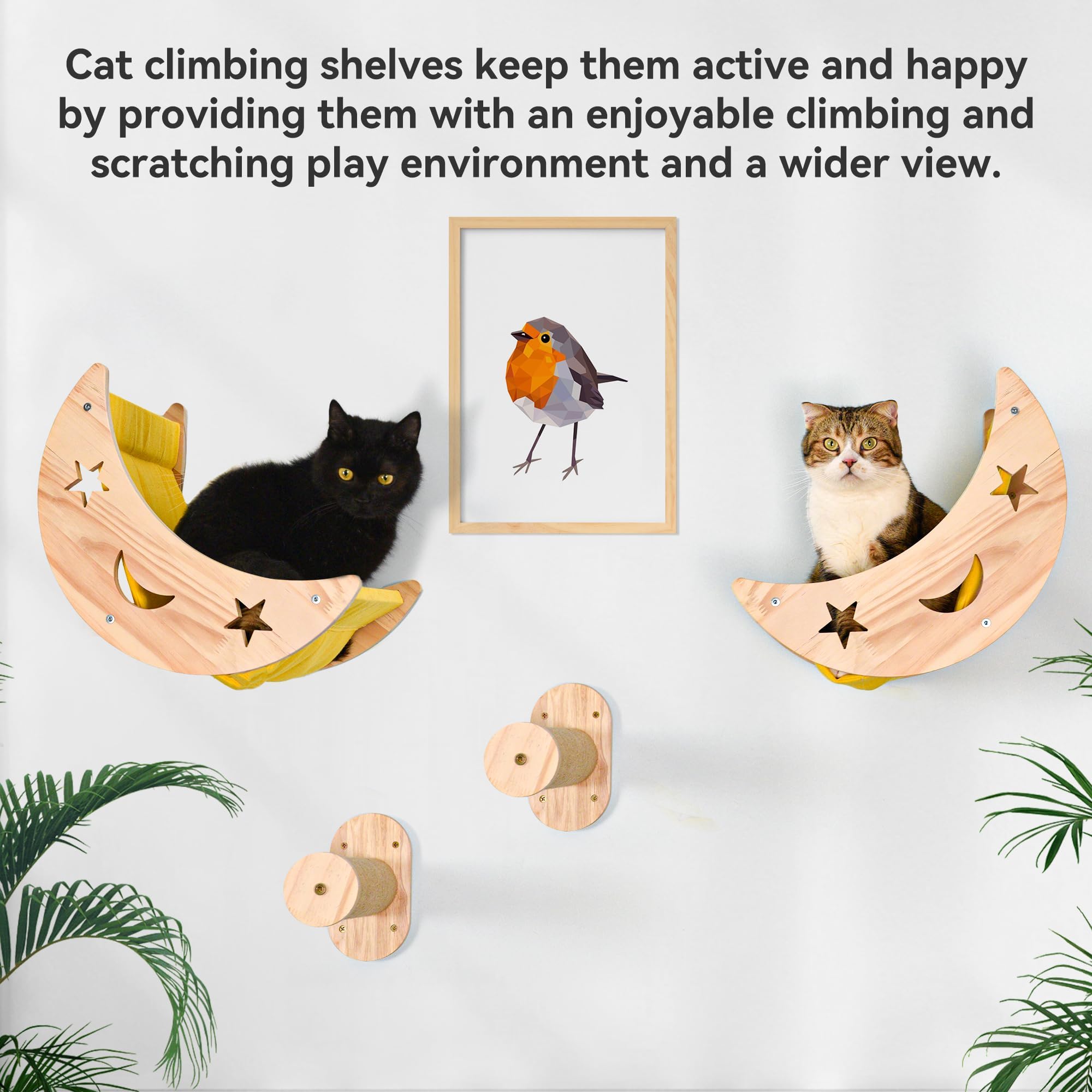 DITOSH climbing view shows height and encourages exercise and curiosity
