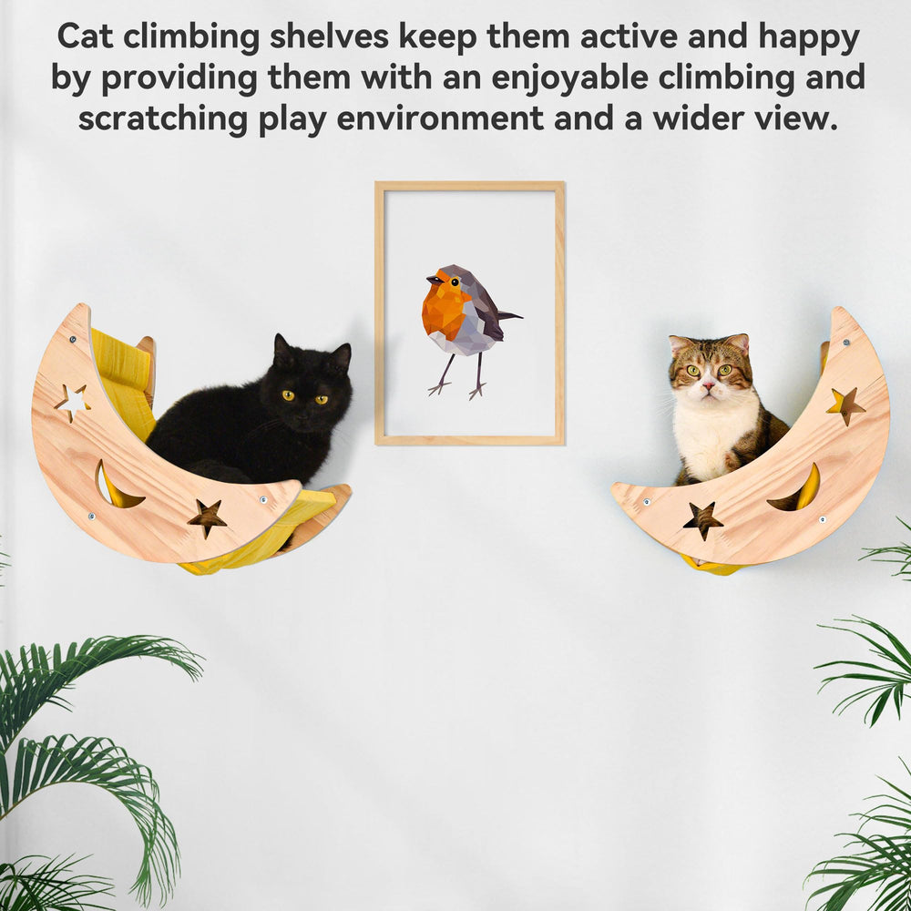 DITOSH Moon Bed wall-mounted bearing strips shows sturdy support for active cats