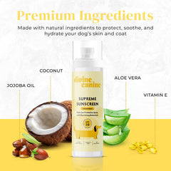 Divine Canine 6.7-oz sunscreen tube ready for outdoor adventures.