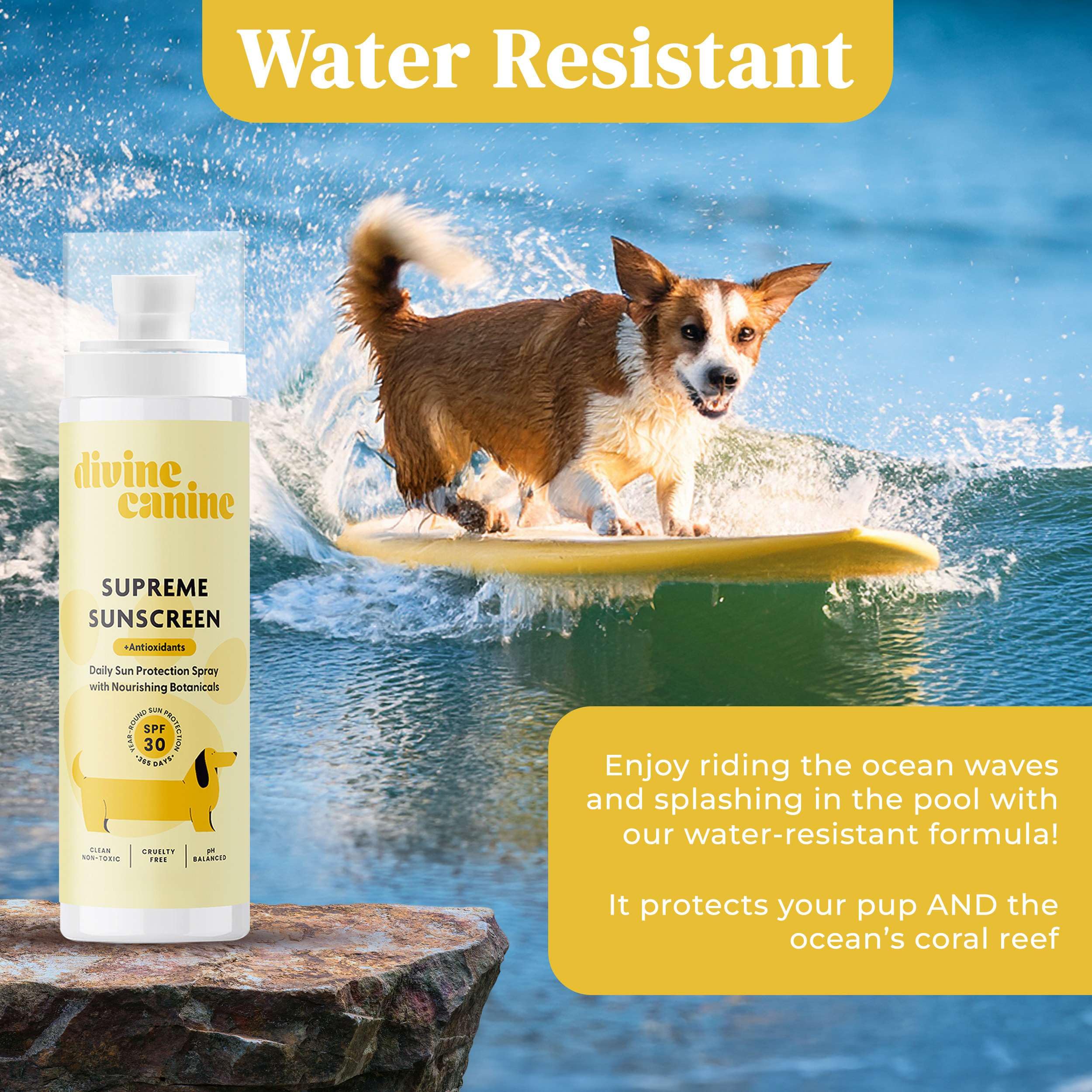 Divine Canine being applied on a white-coated dog shows quick rub-in.