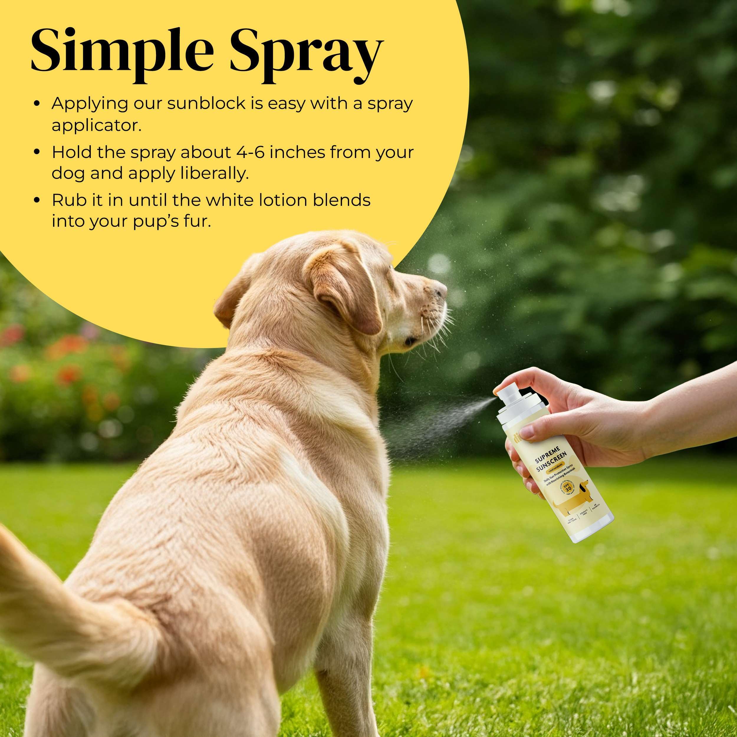 Divine Canine natural-ingredients label highlights coconut, aloe, jojoba benefits.