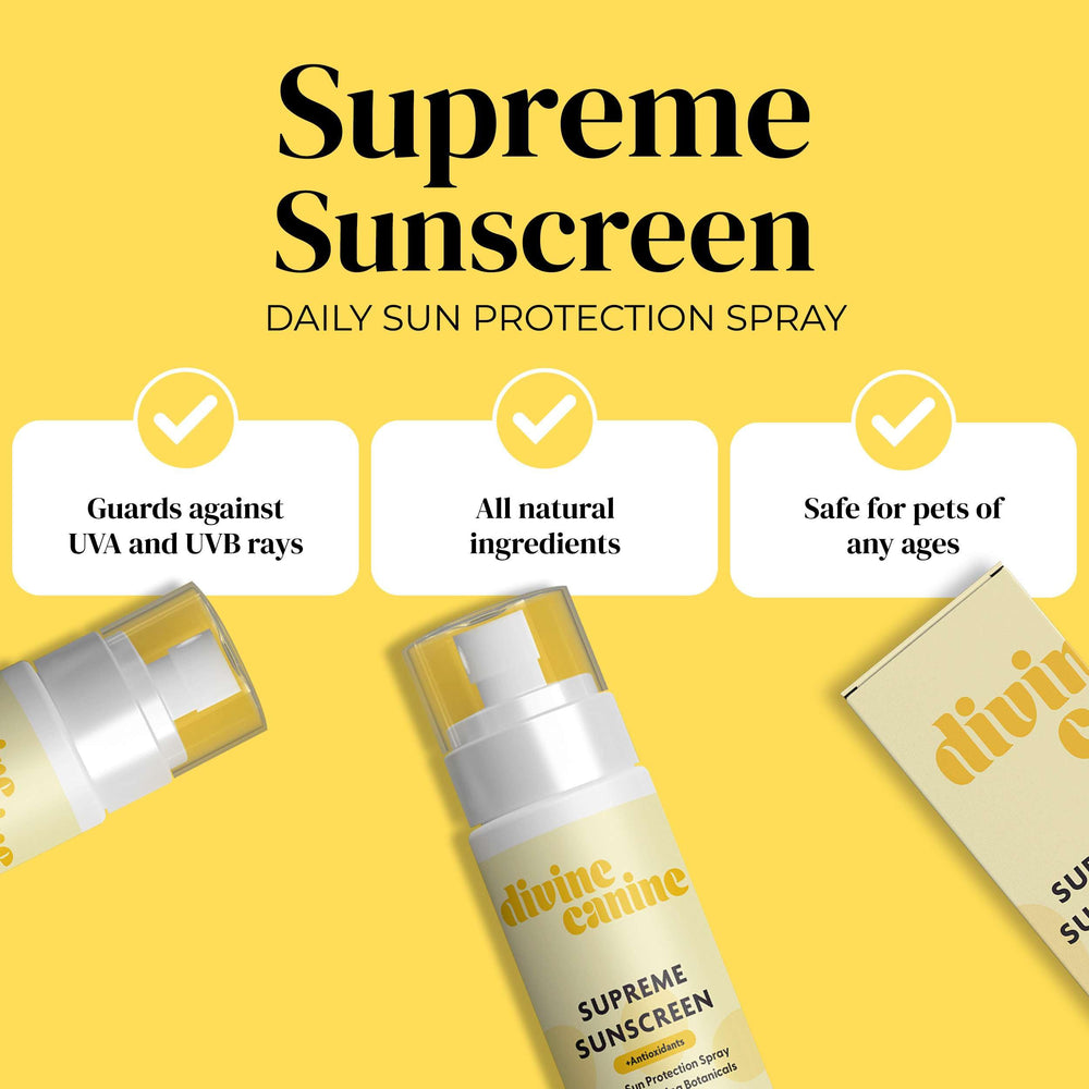 Divine Canine sunscreen pump near cap shows water resistance for beach days.