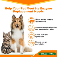 Diytoolsman pancreatic enzymes for dogs dropper highlights easy under tongue administration