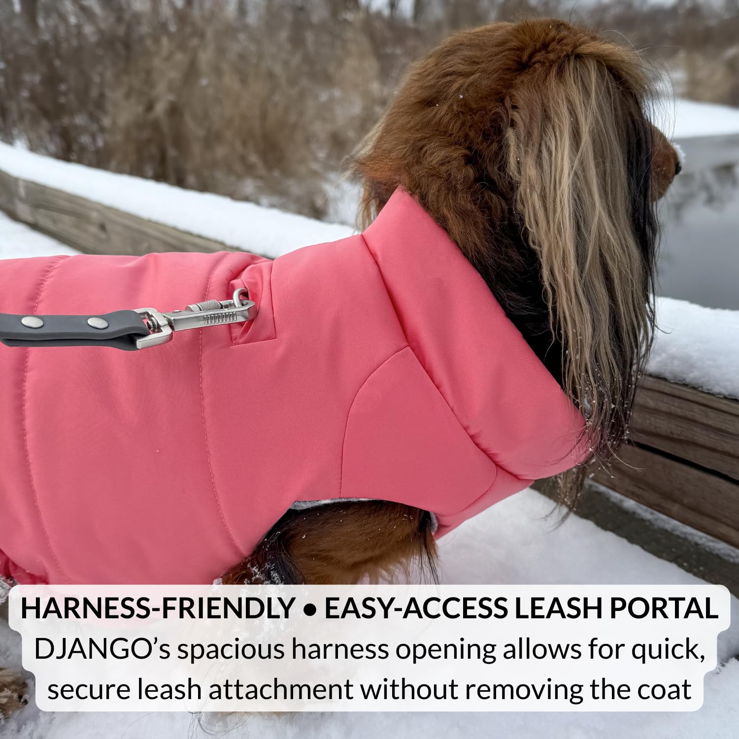 DJANGO Puffer Dog Coat secure chest closure for quick, easy dressing