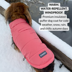 DJANGO Puffer Dog Coat water-repellent shell shields against snow and rain