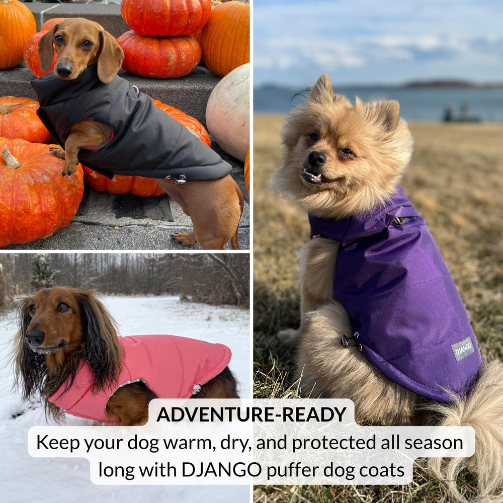 DJANGO Puffer Dog Coat rose-petal pink on a cozy winter stroll