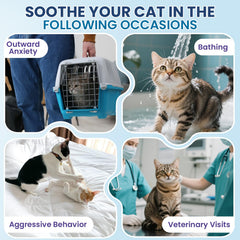 Probiotic-rich DKFGJRGHSJ Cat Calming Treats illustrating gut health support