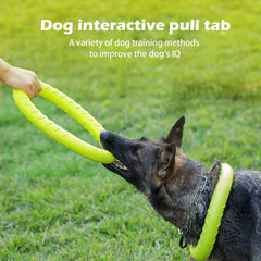 DLDER dog ring during outdoor play demonstrating tug-of-war and interactive prompts.