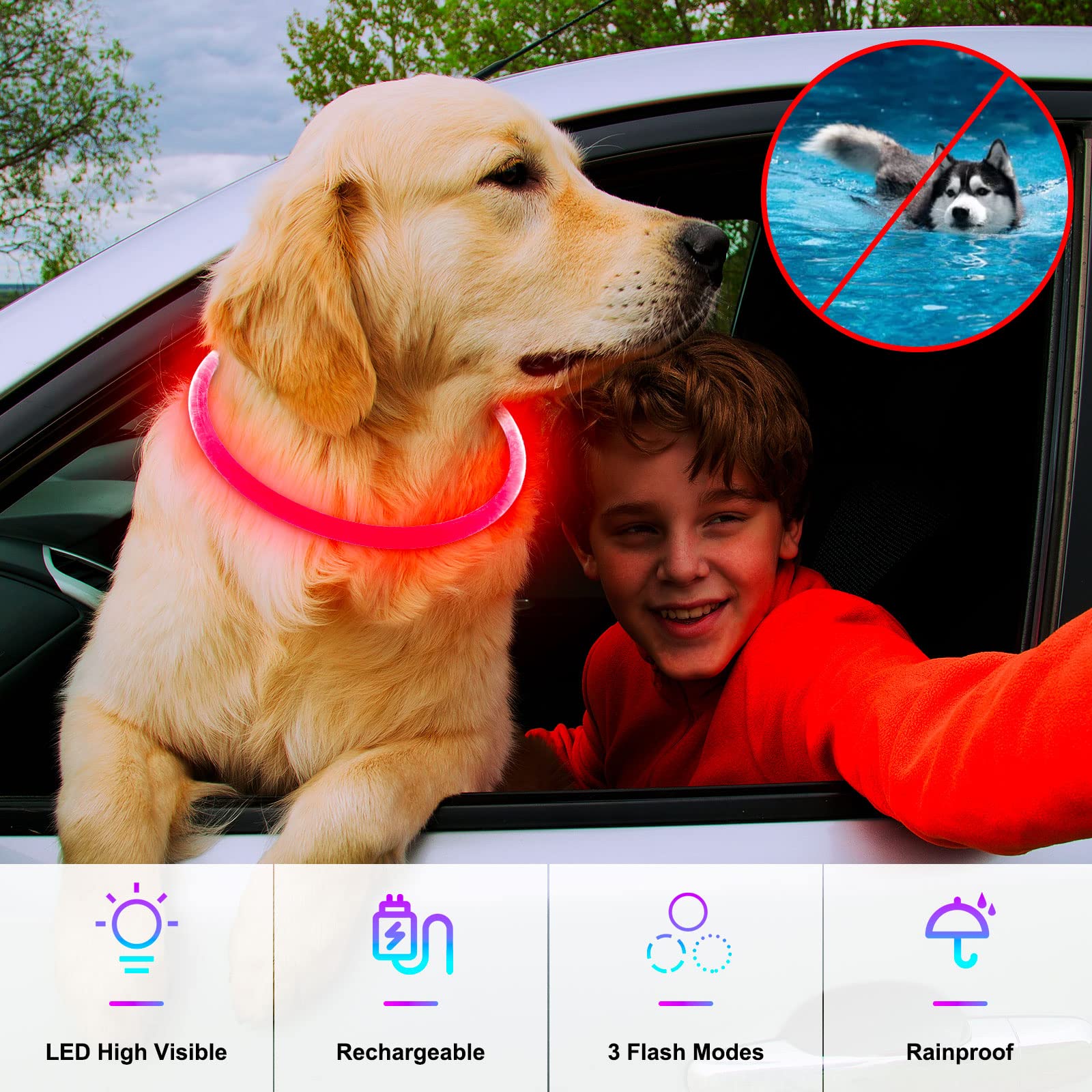 Dlitk collar LED recargable, fácil de colocar y ajustar.