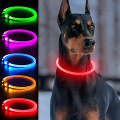 Dlitk collar LED 360 para perros, visibilidad nocturna para paseos seguros.