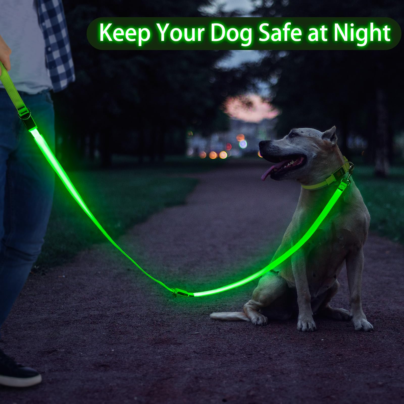 Dlitk compact night-walk dog leash green for urban outings