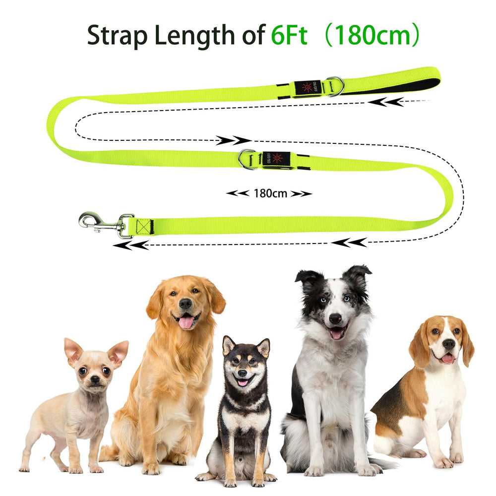Dlitk green LED leash enhances safety during dawn or dusk strolls