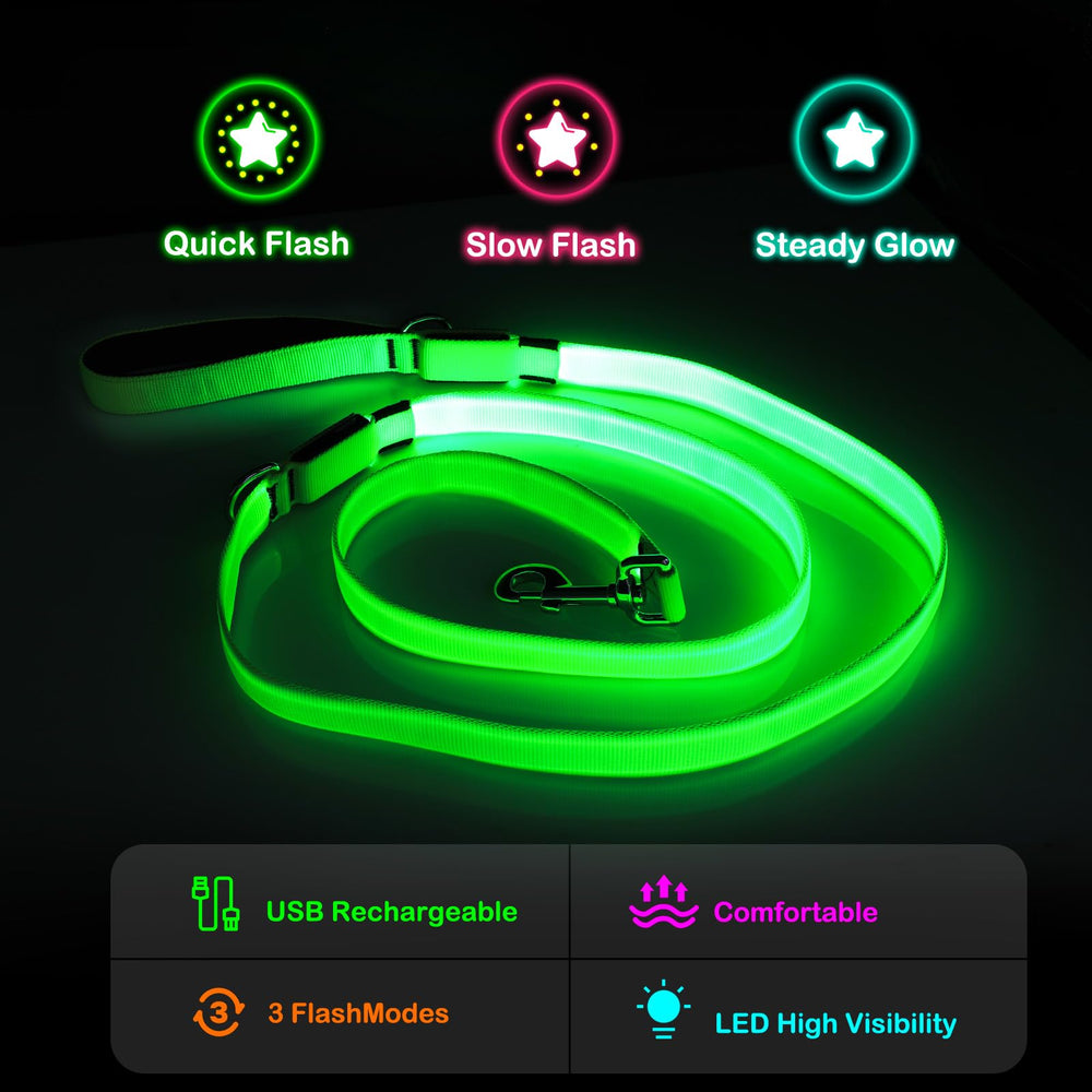 Dlitk LED dog leash with padded handle for comfortable nighttime control