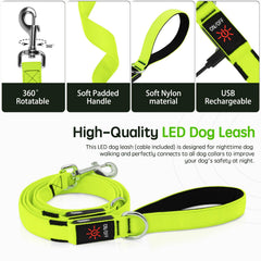 Dlitk nylon reflective leash for night walks with high visibility