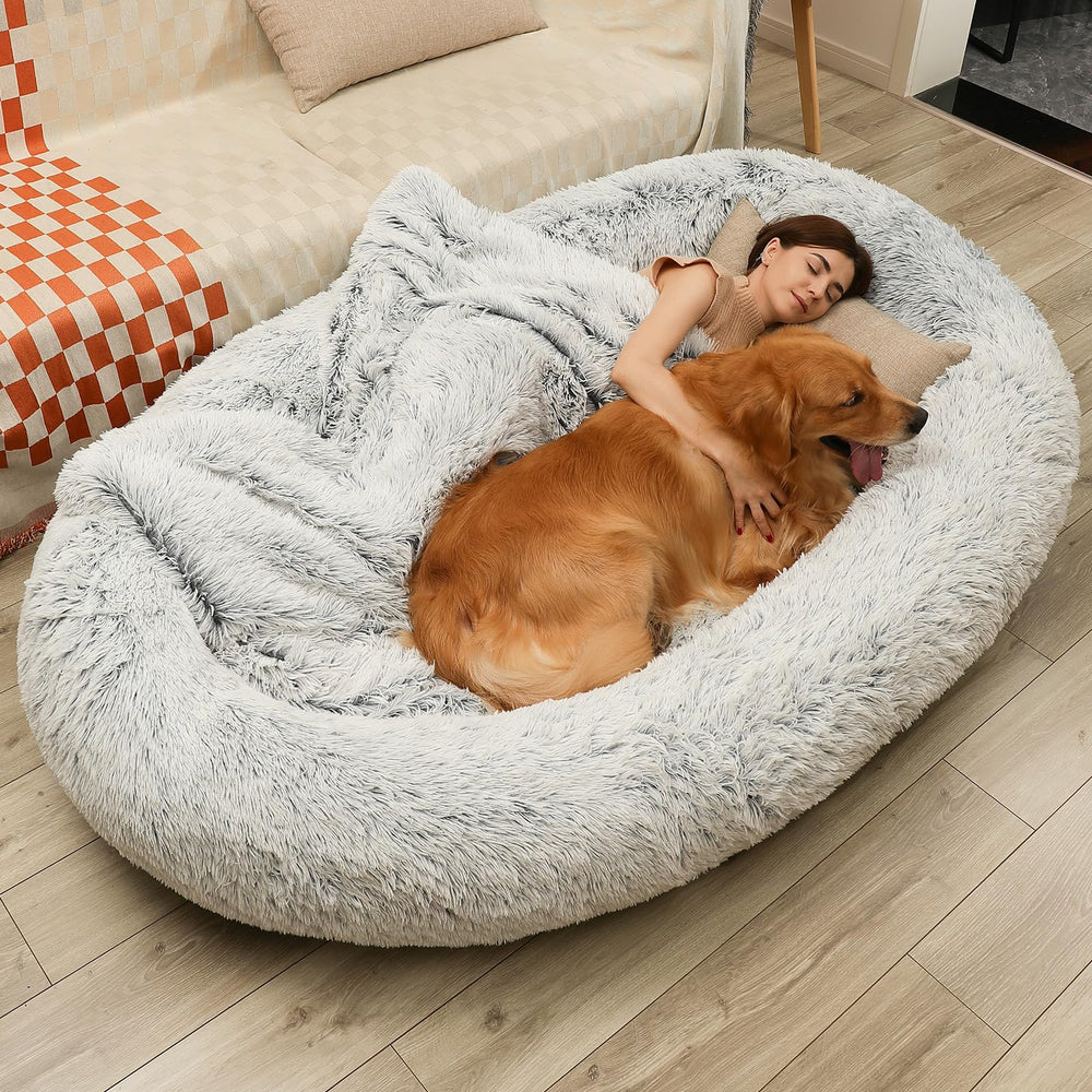 DMTINTA large dog bed front view shows oversized lounging space for two
