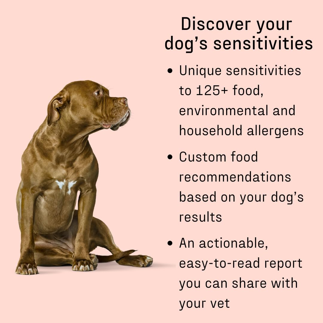 DNA MY DOG 120 allergen panel identifies dietary and environmental sensitivities.