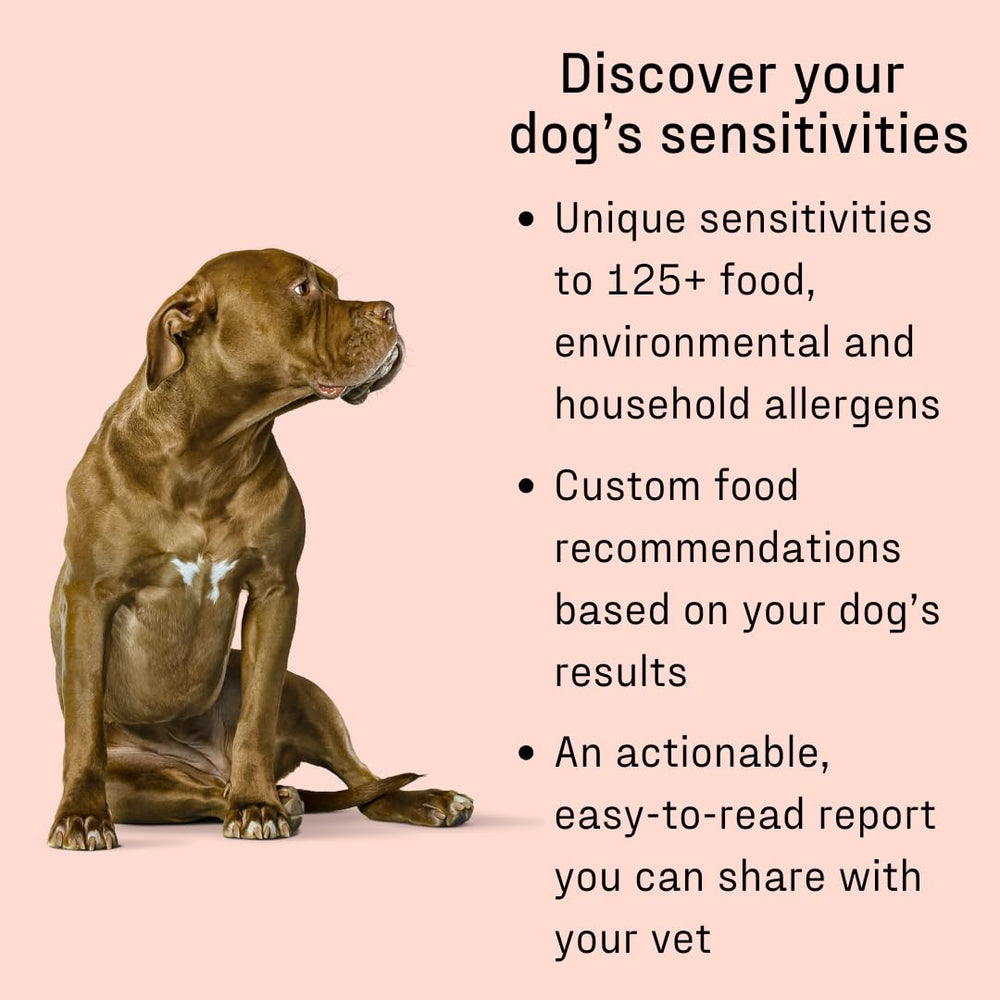 DNA MY DOG 120 allergen panel identifies dietary and environmental sensitivities.