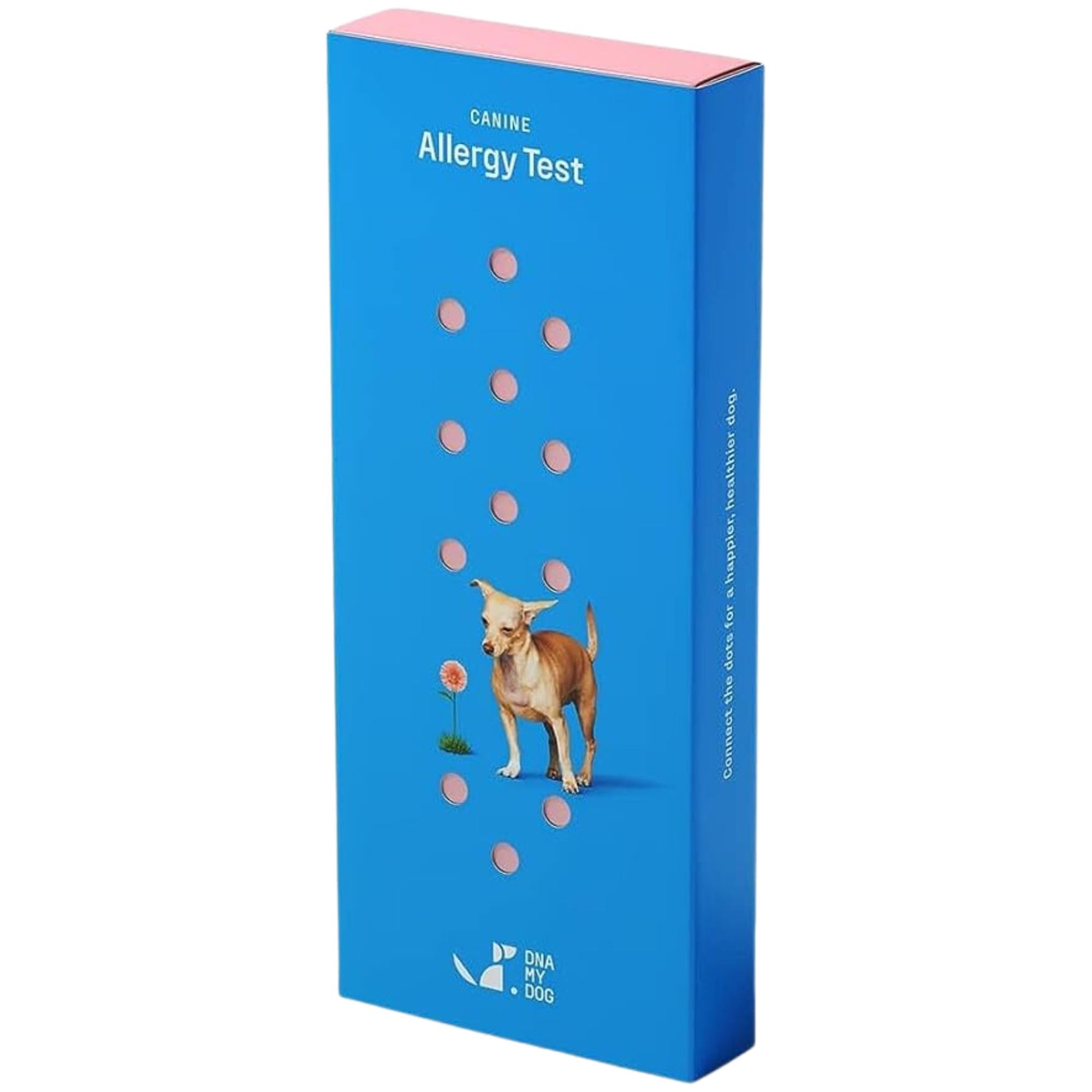 DNA MY DOG cheek swab sample delivers painless collection for precise allergy testing.