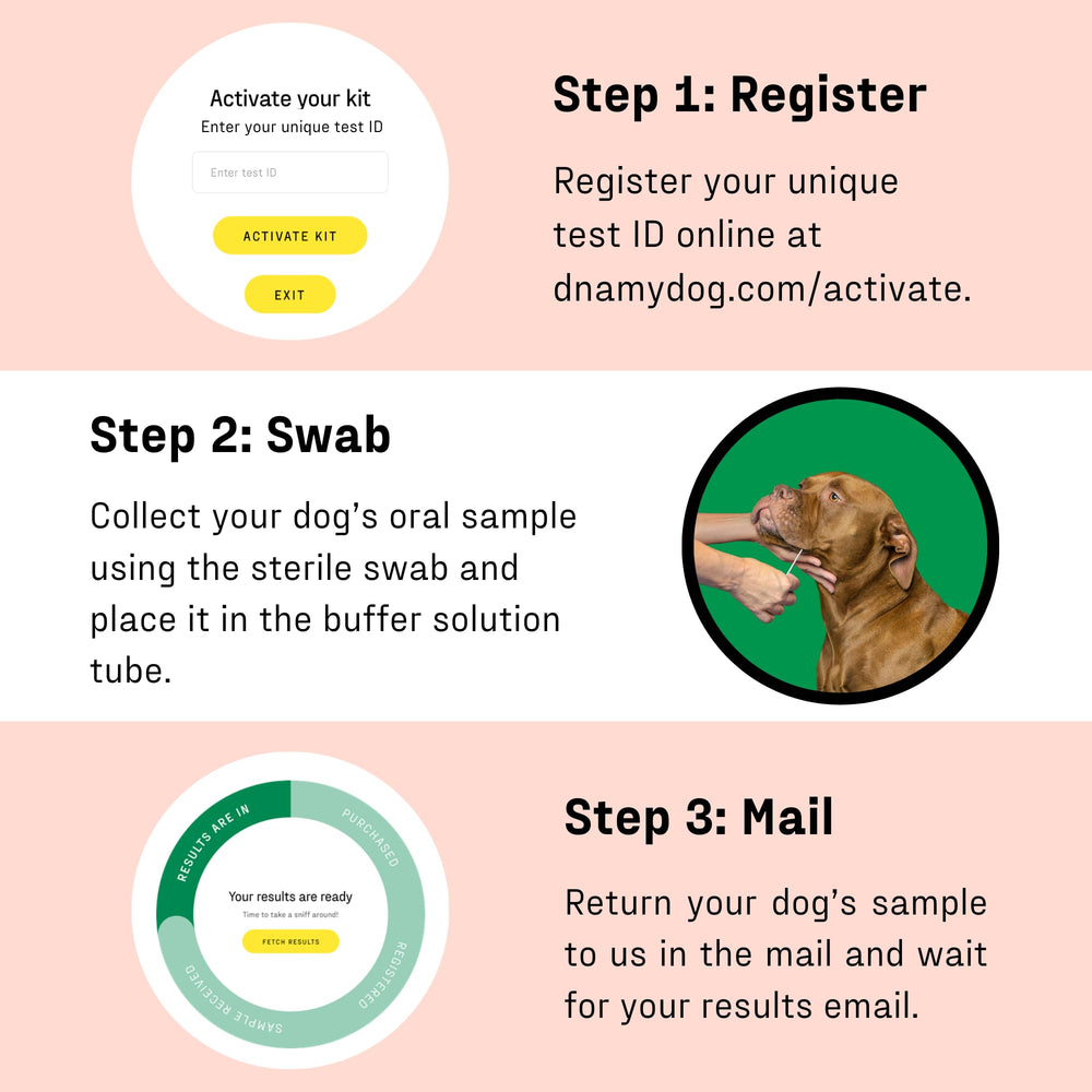 DNA MY DOG online allergen report provides actionable insights for care planning.