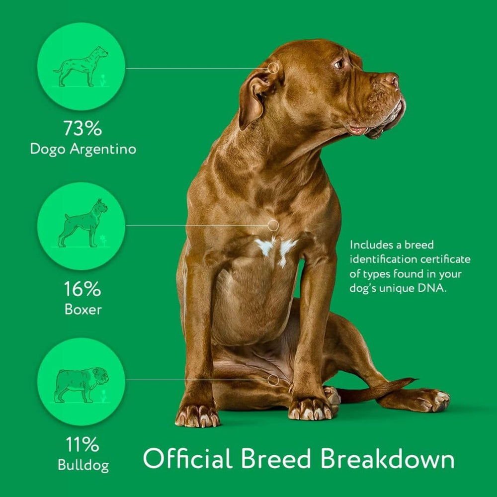 DNA MY DOG breed-analysis-report explains over 350 breeds with key traits and tendencies